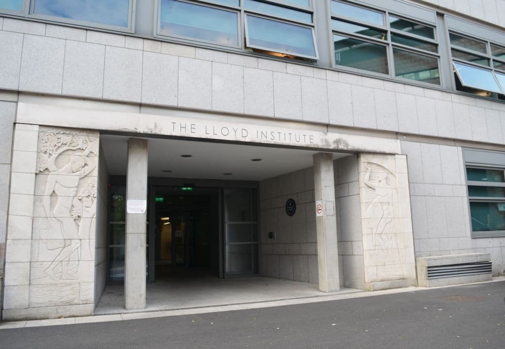 Global Brain Health Institute