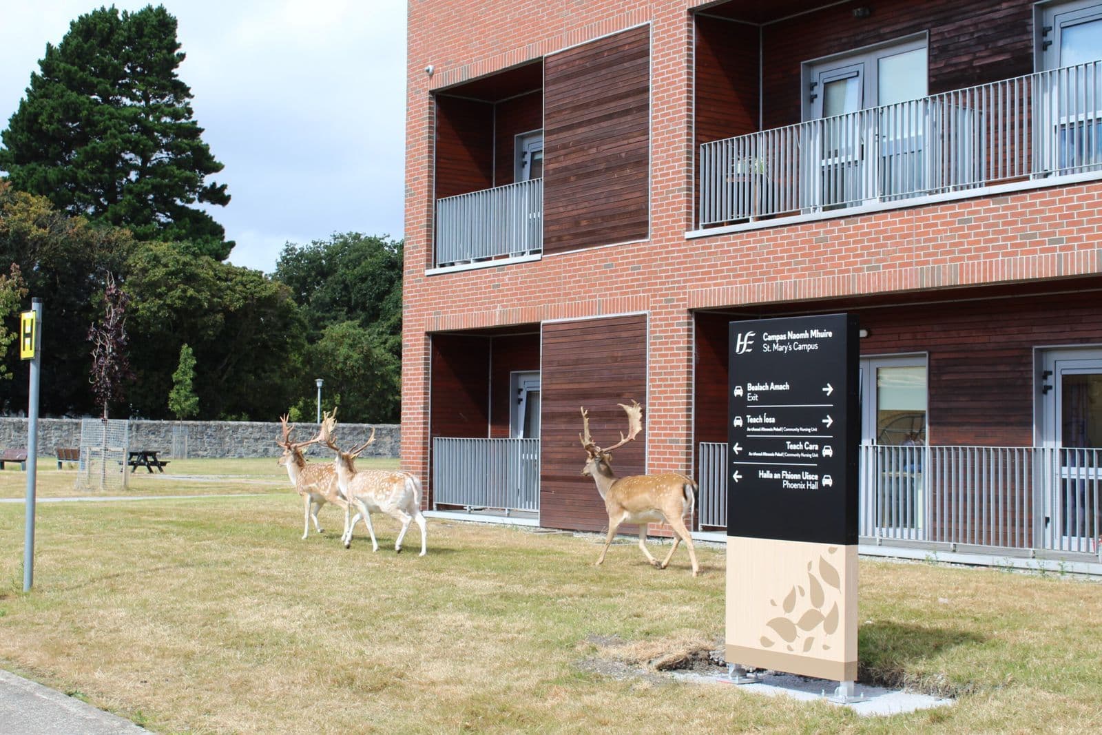 St Mary's Hospital, Phoenix Park