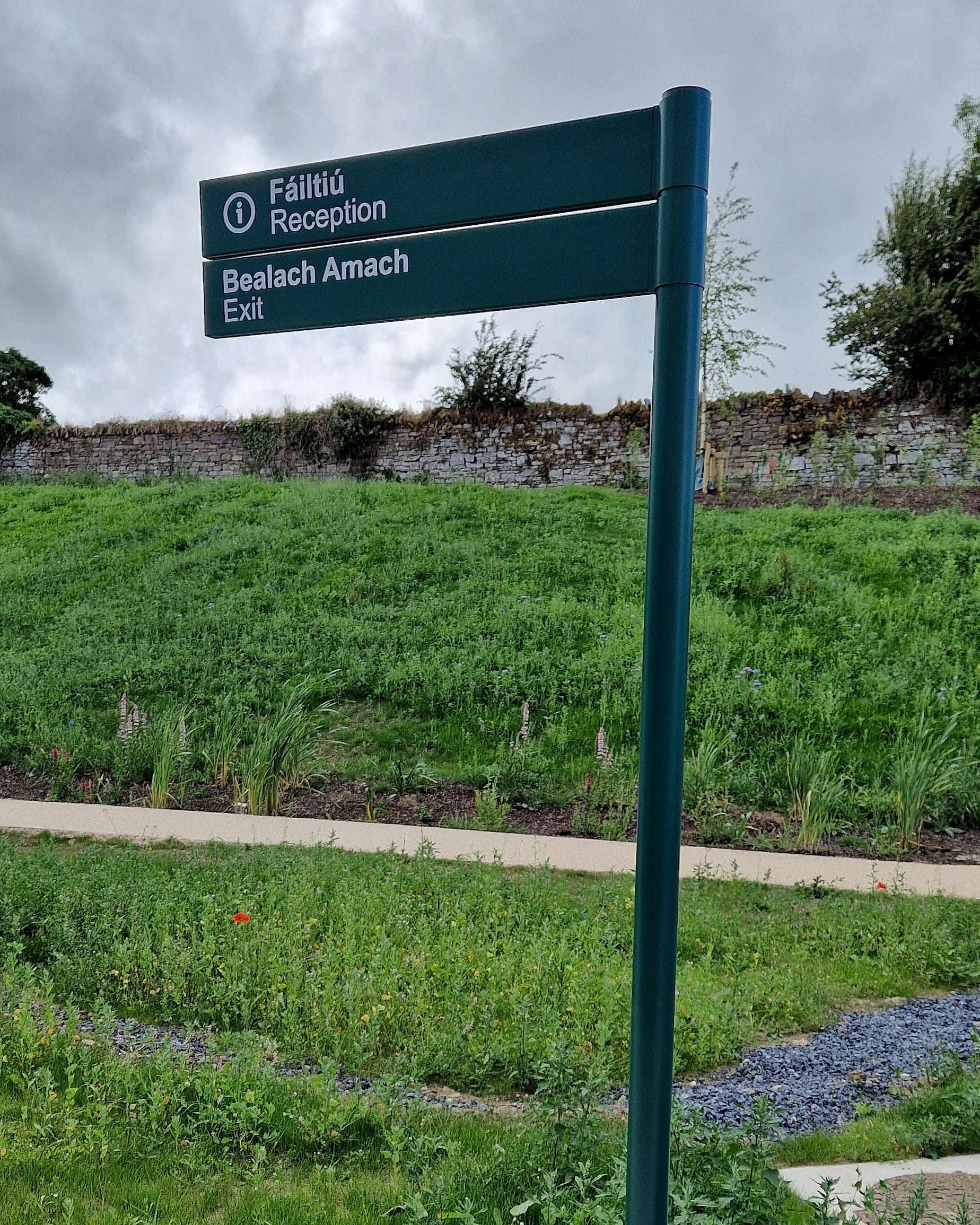 External signage in Irish weather at Thomastown Community Nursing Unit: bilingual Irish and English fingerpost with Fáiltiú/Reception and Bealach Amach/Exit blades on a green powder-coated post, standing in a wildflower verge under a heavy grey sky