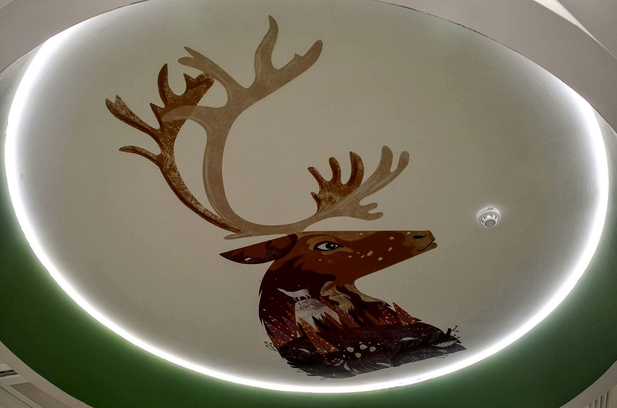 Ceiling graphic at Temple Street Children's Hospital, Dublin: a stag illustration applied inside a circular illuminated ceiling recess, photographed looking straight up