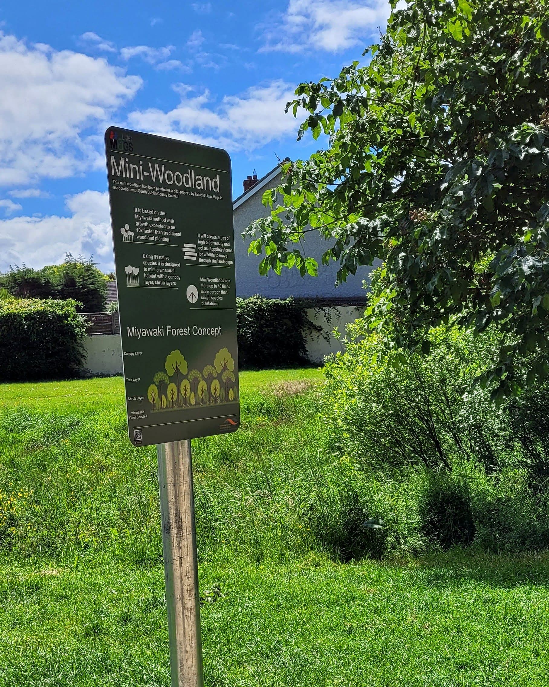 Interpretive post-and-panel sign for South Dublin County Council explaining a mini-woodland pilot planting, with a Miyawaki forest diagram and a small QR code in the lower corner of the panel